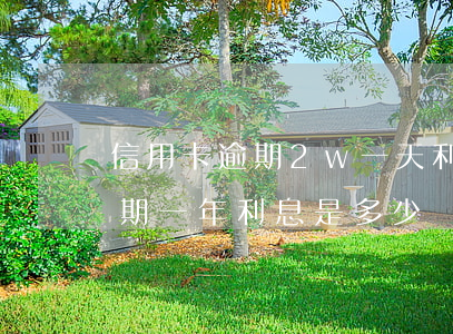 信用卡逾期2w一天利息多少(2萬信用卡逾期一年利息是多少)