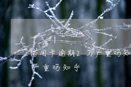 信用卡逾期2万严重吗知乎(信用卡逾期2万严重吗知乎)