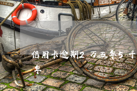 信用卡逾期2万五年(5千额度信用卡逾期2年)