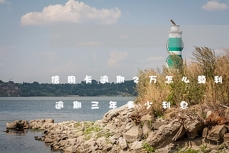 信用卡逾期2万怎么算利息(信用卡8000逾期三年多少利息)