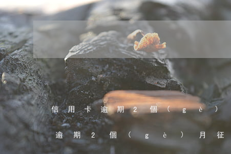 信用卡逾期2個(gè)月5000 信用卡逾期2個(gè)月征信如何消除