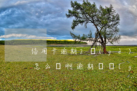 信用卡逾期2個(gè)月了會(huì)怎么樣啊(逾期兩個(gè)月信用卡)