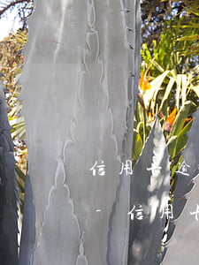信用卡逾期2個(gè)月可以先還一半嗎-信用卡逾期2個(gè)月可以先還一半嗎
