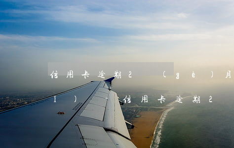 信用卡逾期2個(gè)月可以坐飛機(jī)嗎-信用卡逾期2個(gè)月可以坐飛機(jī)嗎要多少錢