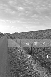 信用卡逾期2個(gè)月影響嗎(信用卡逾期2個(gè)月會(huì)不會(huì)很嚴(yán)重)