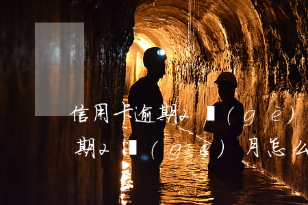 信用卡逾期2個(gè)月怎么辦(信用卡逾期2個(gè)月怎么辦?)