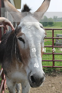 信用卡逾期2個(gè)月會(huì)被起訴嗎(信用卡2個(gè)月逾期后果)