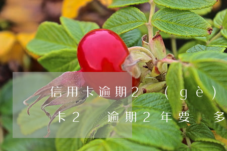 信用卡逾期2個(gè)月有多少利息 信用卡2萬逾期2年要還多少