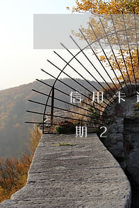 信用卡逾期2個(gè)月有還款(信用卡逾期2個(gè)月有還款合同嗎)