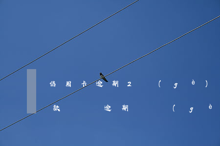 信用卡逾期2個(gè)月欠五萬(信用卡欠款兩萬逾期兩個(gè)月)