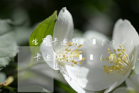 信用卡逾期2個(gè)月沒還(兩萬的信用卡逾期好幾個(gè)月一直沒還嚴(yán)重嗎)