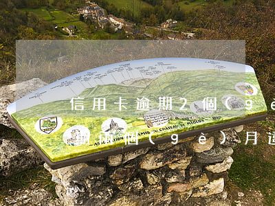 信用卡逾期2個(gè)月罰息嗎(信用卡逾期兩個(gè)月違約金和利息要多少)