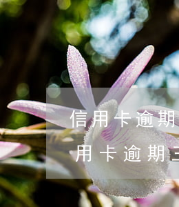 信用卡逾期2個(gè)月起訴-兩萬多信用卡逾期三個(gè)月被起訴怎么辦