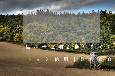 信用卡逾期2個(gè)月銀行要上門(mén)(信用卡5000逾期2年會(huì)上門(mén)嗎)