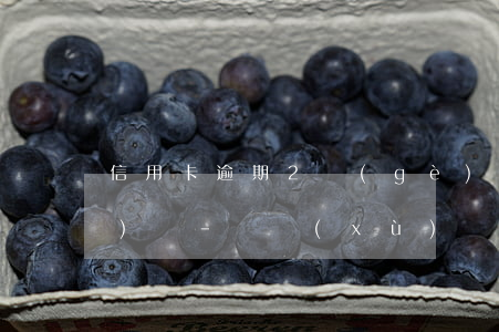 信用卡逾期2個(gè)賬單日沒(méi)還-連續(xù)兩個(gè)月信用卡逾期