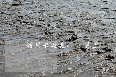 信用卡逾期2個月上報幾次征信