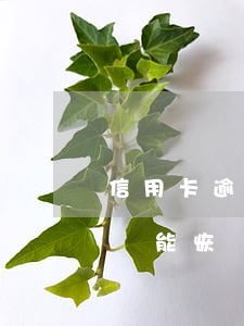 信用卡逾期2個月停用-逾期停用的信用卡還能恢復(fù)嗎