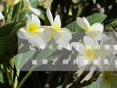 信用卡逾期2個月催繳要全額還款-信用卡逾期2個月催繳要全額還款嗎