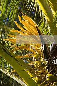 信用卡逾期2個月可以協(xié)商嗎-欠信用卡逾期三個月還可以溝通嘛