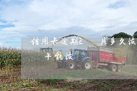 信用卡逾期2個月多久恢復征信(征信逾期了幾年能恢復)