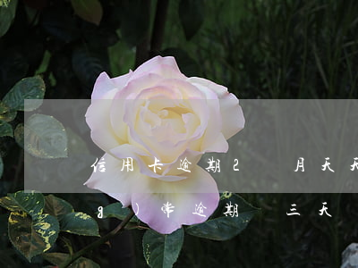 信用卡逾期2個月天天催(信用卡經(jīng)常逾期兩三天)