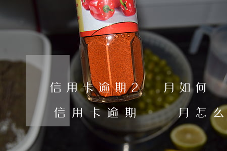 信用卡逾期2個月如何協(xié)商停息(信用卡逾期兩個月怎么跟銀行協(xié)商)