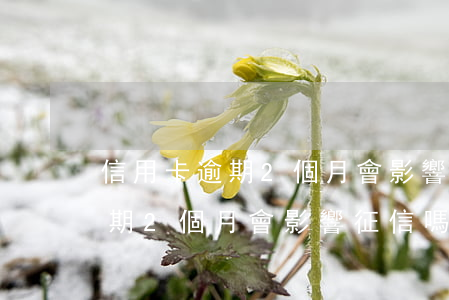 信用卡逾期2個月會影響征信嗎-信用卡逾期2個月會影響征信嗎知乎