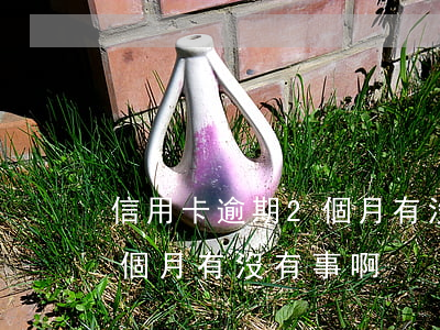 信用卡逾期2個月有沒有事-信用卡逾期2個月有沒有事啊