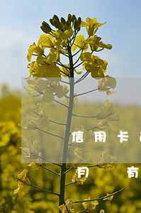 信用卡逾期2個月有沒有事(信用卡逾期2個月會有什么后果)