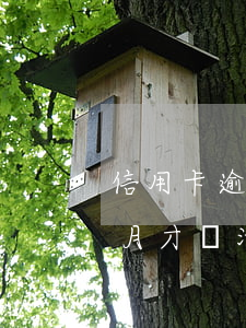 信用卡逾期2個月有還款(信用卡逾期了兩個月才還清有啥影響)