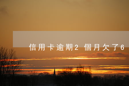 信用卡逾期2個月欠了6000-