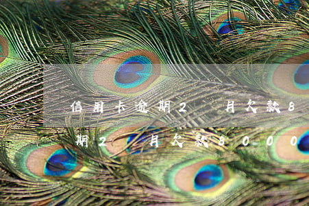 信用卡逾期2個月欠款8000-信用卡逾期2個月欠款8000怎么辦