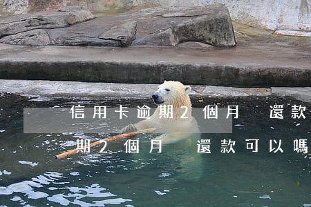 信用卡逾期2個月沒還款可以嗎-信用卡逾期2個月沒還款可以嗎怎么辦