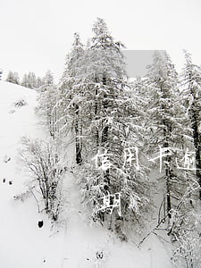 信用卡逾期2個月立案(拘留一個月信用卡逾期)