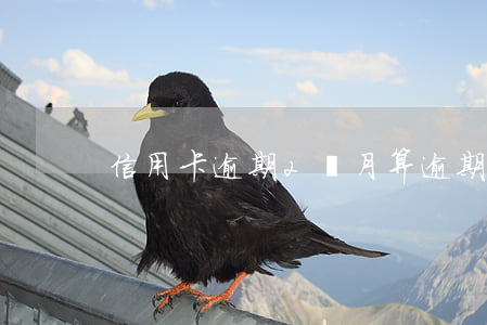 信用卡逾期2個月算逾期幾次