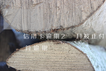 信用卡逾期2個月被止付了(信用卡2天沒還算逾期)