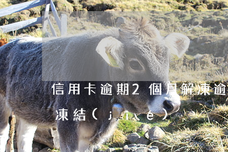 信用卡逾期2個月解凍(逾期一個月信用卡被凍結(jié))