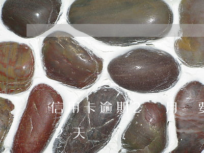 信用卡逾期2個月說要開始調查(信用卡逾期2天)