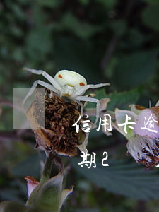 信用卡逾期2個月賬單會怎么樣-信用卡逾期2個月賬單會怎么樣嗎