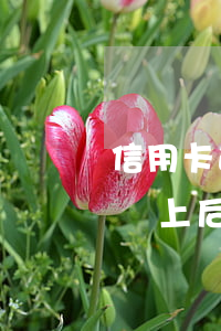 信用卡逾期2個月還上后(信用卡逾期2個月還上后額度還有嗎)