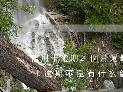 信用卡逾期2個月還最低可以嗎(兩個月信用卡逾期不還有什么結果)