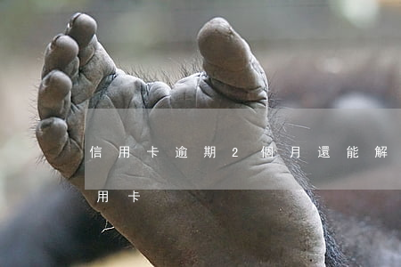 信用卡逾期2個月還能解凍嗎(逾期兩個月信用卡)