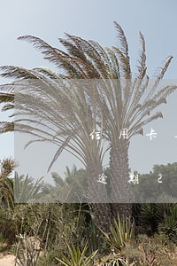信用卡逾期2個月還進去還能用嗎-信用卡逾期2個月還進去還能用嗎