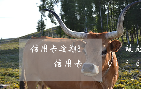 信用卡逾期2個賬單會被起訴嗎(同時逾期了幾張信用卡會聯(lián)合起訴嗎)