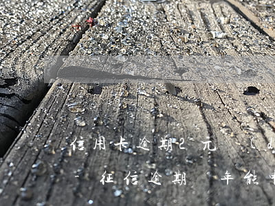 信用卡逾期2元對(duì)征信有影響嗎-征信逾期兩年能申請(qǐng)信用卡嗎
