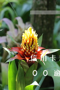 信用卡逾期2千一年多少利息(信用卡10000逾期2年利息会有多钱)