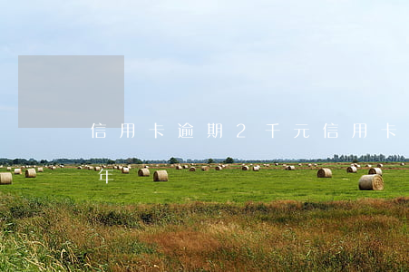 信用卡逾期2千元(信用卡3000元逾期兩年)