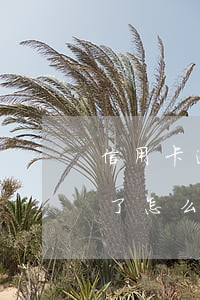 信用卡逾期2塊錢有事嗎(有一張信用卡逾期了怎么辦)