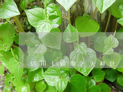 信用卡逾期2天利息(兩萬的信用卡逾期一天利息多少)