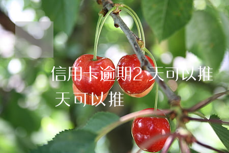 信用卡逾期2天可以推遲還嗎 信用卡逾期2天可以推遲還嗎